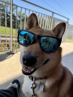 Satoshi mit Sonnenbrille